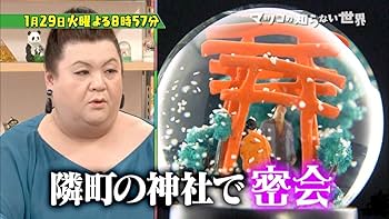 Amazon.co.jp: 超お得な2個セット 手作りスノードーム・キットS